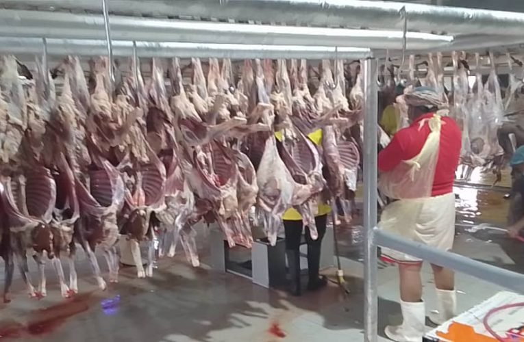 Hajj 2024 : Kaduna to Refund $50 each to her pilgrims