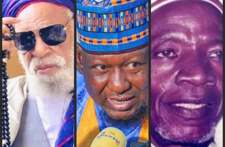 Prominent Scholars in Nigeria and some of their contributions  (Series One)