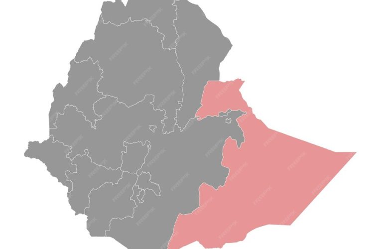 Attack in a Mosque kills six in Somali region