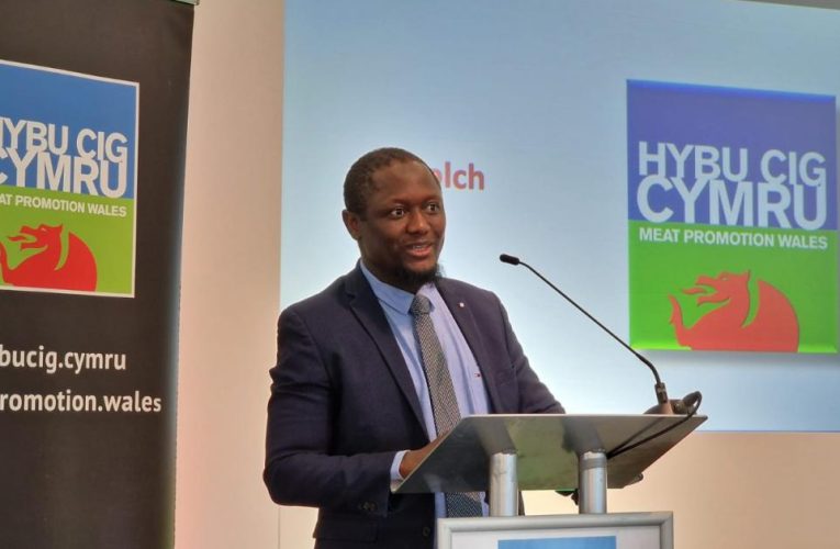 Welsh Lamb Poised for Global Growth in Muslim Markets, Expert Says