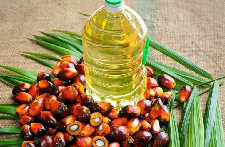 Malaysian palm oil futures gain on Ramadan demand