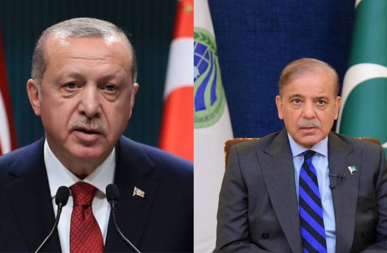 Türkiye Backs Pakistan’s Ongoing Peace Initiatives