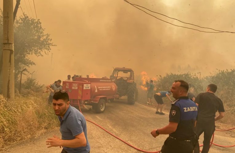 Forest Fires Rage Across Western Türkiye as Crews Battle Blazes Into Second Day