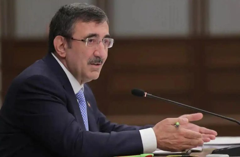 Türkiye Pledges Full Backing for Ukraine Peace Push