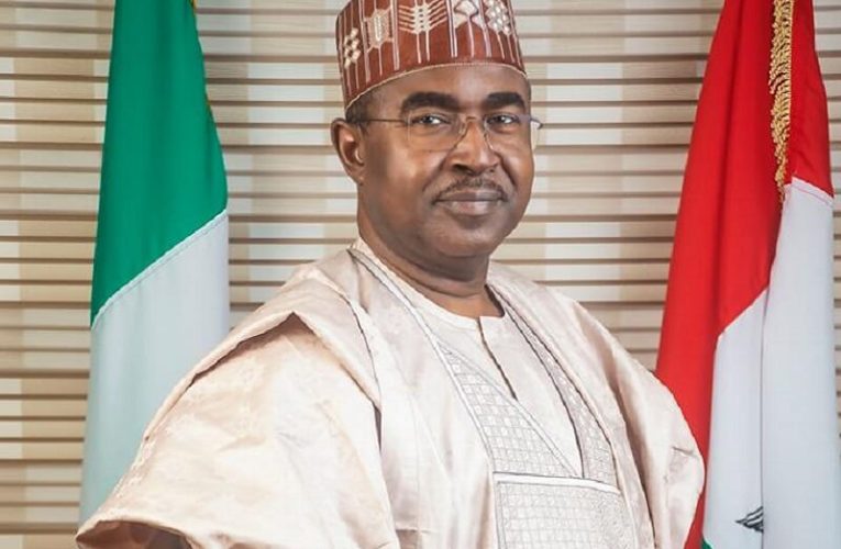 Marwa Gets Second Term as NDLEA Boss