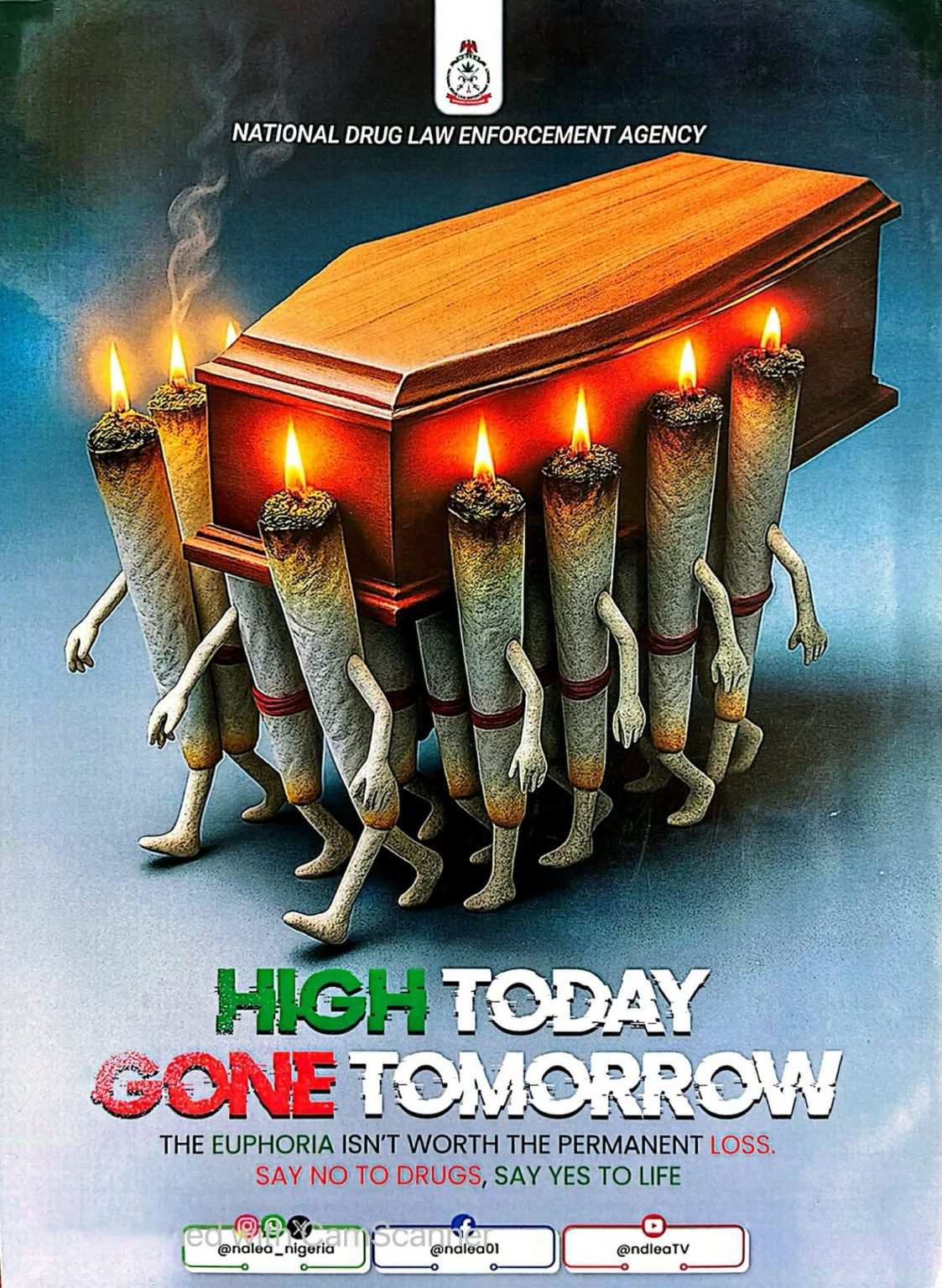 Hajj 2026: CSO seeks special committee to oversee Hady (animal ...