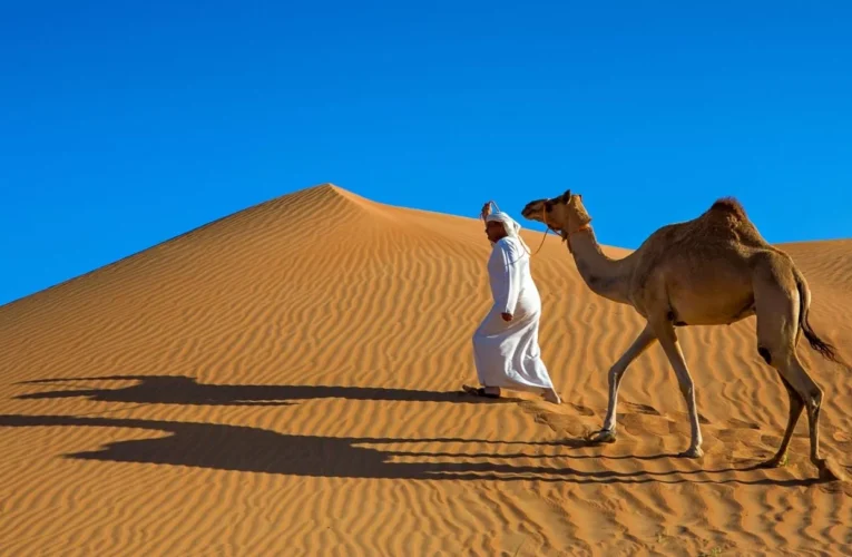 Surrounded by Sand, Saudi Arabia Still Has to Import It