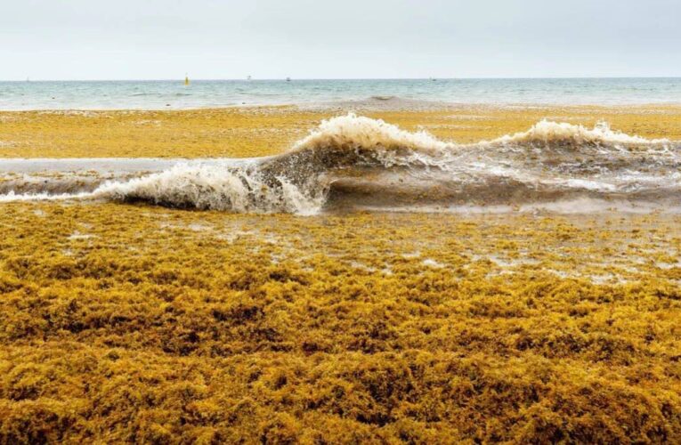 Scientists Reveal Giant Atlantic Ocean Formation