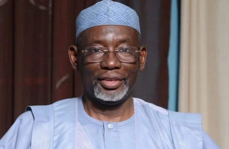 Jigawa Governor Namadi Takes New Role as IHR National Patron
