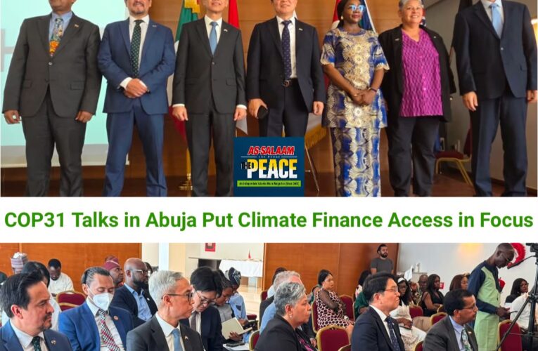 COP31: MIKTA, Nigeria Focus on Turning Climate Pledges into Funded Projects